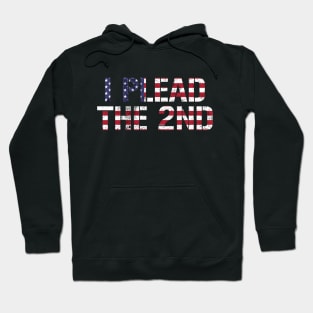 I Plead The 2nd Hoodie